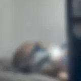 La bebé💋 — OnlyFans
